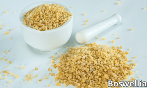 Boswellia