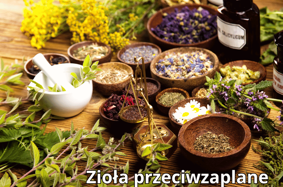 zioła przeciwzapalne